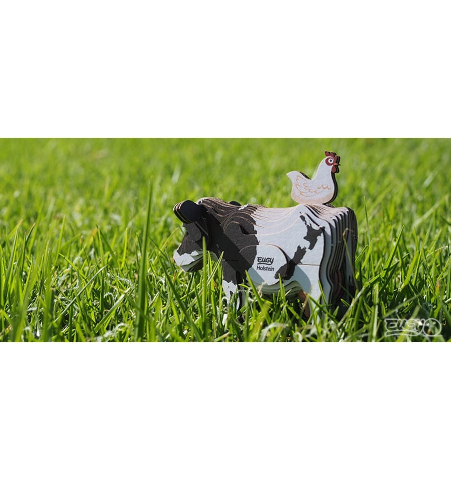 Eugy Vaca Holstein