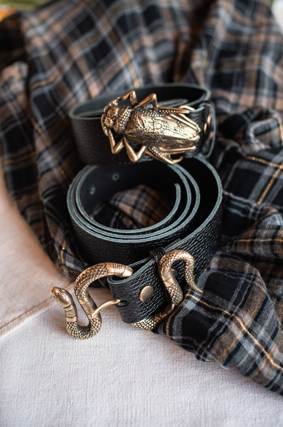 SERPIENTE CINTURÓN
