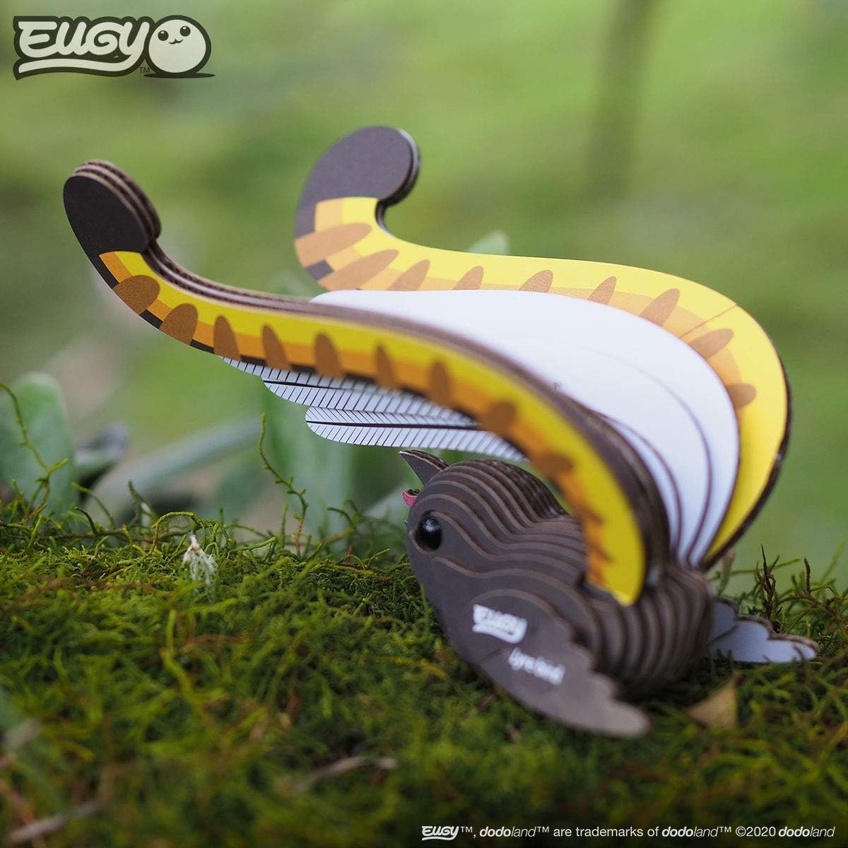 Eugy Pájaro Lira